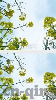 大象传媒被抓-大象传媒事件，行业监管与合规经营的警钟