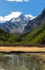 麻豆av在线播放-揭秘麻豆av在线播放，互联网非法内容之殇与守卫网络健康的呼吁
