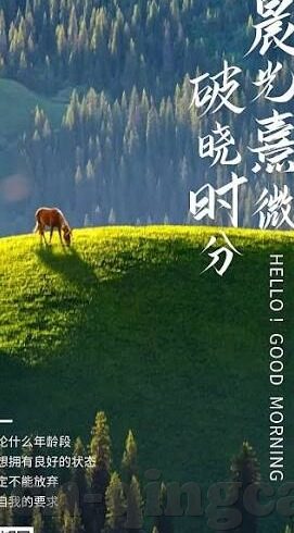 麻豆传媒女艺人名单-麻豆传媒的多元艺术风采，女艺人风采展示