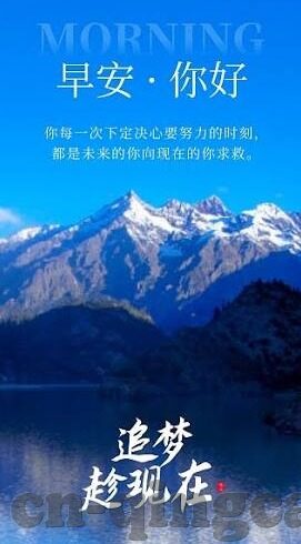 麻豆精品 在线视频-麻豆精品，在线视频的精彩世界