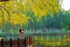 麻豆视频app破解-新视界，麻豆视频app的数字化旅程