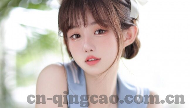 麻豆swag圣诞麋鹿91-麻豆的SWAG，圣诞麋鹿之夜的魔幻序曲