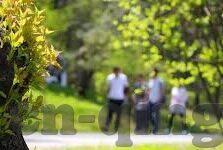 人妻初体验-初探人妻的细腻旅程，从青涩到成熟的温柔蜕变