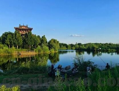 人妻欧美日韩-多元文化视角下的家庭角色，人妻在欧美、日韩的差异与共通