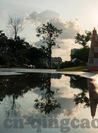 人妻性奴隶电影-探索人妻角色在电影艺术中的多维度呈现