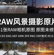 日本最新高清不卡一区二区-日本高清影视内容的新纪元，一区二区的流畅体验