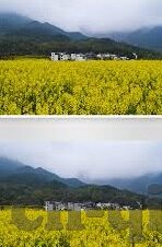 视频在线麻豆-焕发新活力，视频在线麻豆的时新魅力与美学探索