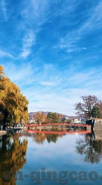 糖心vlog兑换码在哪领-探索糖果世界的惊喜，糖心VLOG兑换码领取秘籍