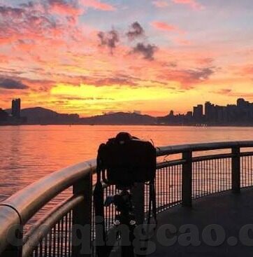 糖心vlog入口进入-揭秘糖心vlog，解锁精彩内容的新篇章