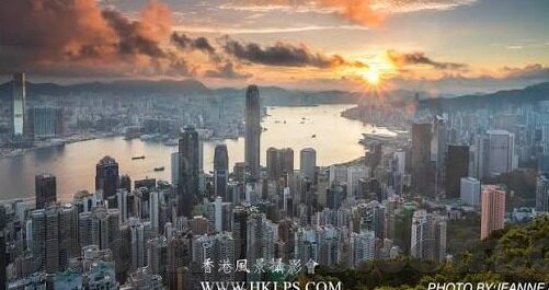 糖心vlog有毒-揭秘网红背后，糖心Vlog的毒与诱惑