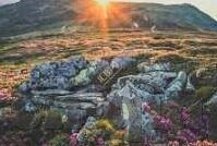 糖心直播免费版app下-芒果时刻，解锁免费直播体验的甜蜜时光